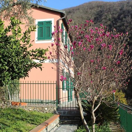 Casa Laura Villa Zoagli Ngoại thất bức ảnh