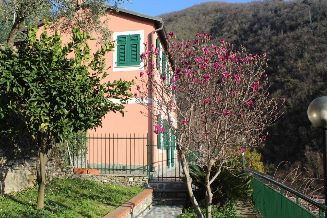 Casa Laura Villa Zoagli Ngoại thất bức ảnh